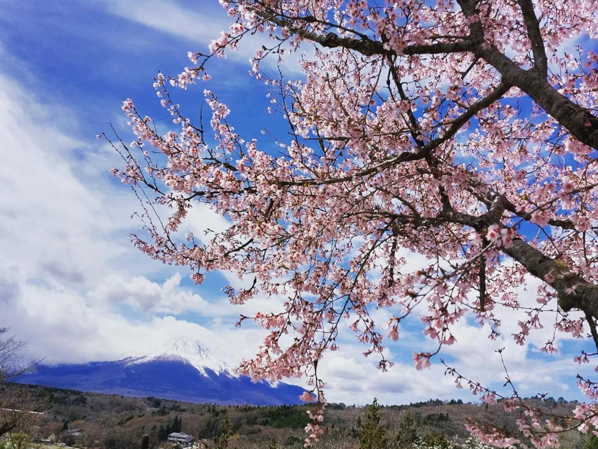 Rokumeikan Hills Yamanakako Εξωτερικό φωτογραφία